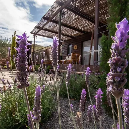 度假居 Jardin Del Norte Gáldar